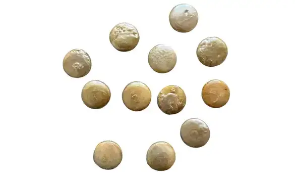 [18020001] 12 piedras Naturales de Nácar